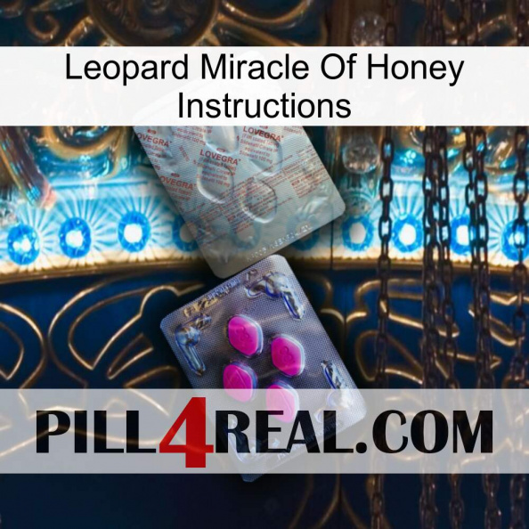 Leopard Miracle Of Honey Instructions 38.jpg